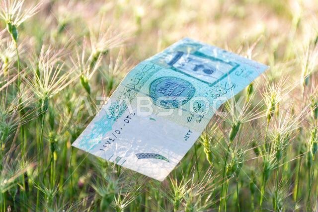 Saudi Arabian One Riyal banknote lying on green spiky grass outdoors.