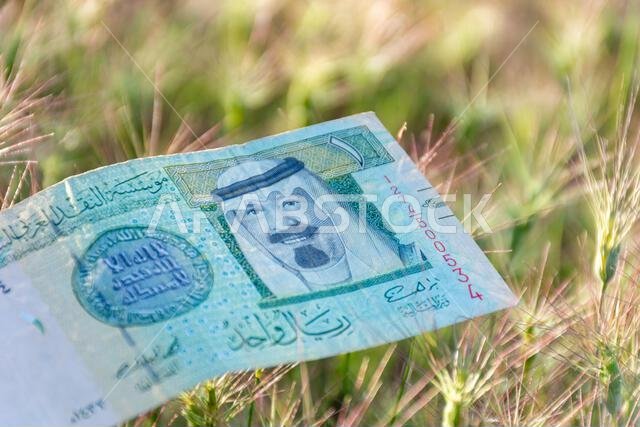 Saudi Arabian One Riyal banknote lying on green spiky grass outdoors.