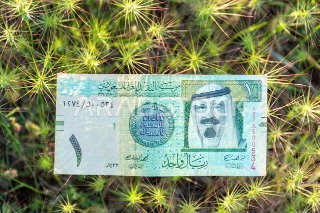 ورقة نقدية سعودية من فئة ريال واحد ملقاة على عشب أخضر شائك في الهواء الطلق. ورقة نقدية سعودية من فئة ريال واحد ملقاة على عشب أخضر شائك في الهواء الطلق.
