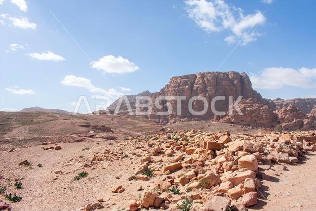 Petra Jordan Aerial view on Ruins of old Ancient City and Huge Rock Formations. Caves and Tombs, One of the Seven Wonders of the World