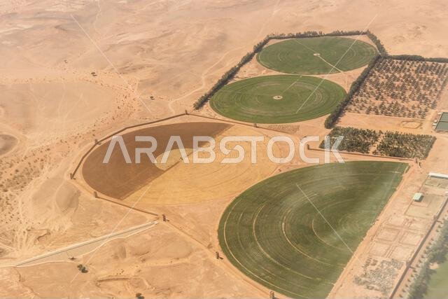 Aerial view of a farm near Riyadh, Saudi Arabia