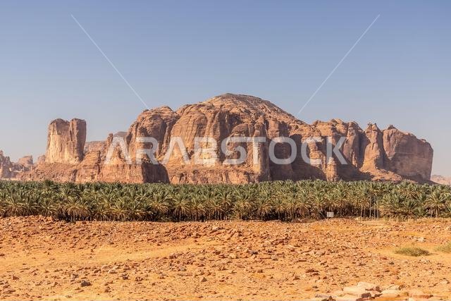 منظر طبيعي لمدينة دادان في العلا بالمملكة العربية السعودية منظر طبيعي لمدينة دادان في العلا بالمملكة العربية السعودية
