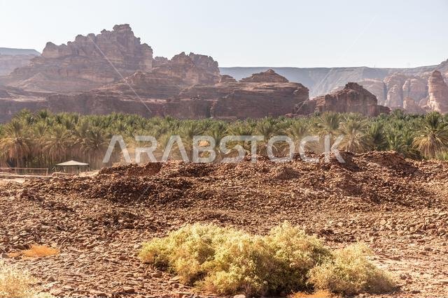 منظر طبيعي لمدينة دادان في العلا بالمملكة العربية السعودية منظر طبيعي لمدينة دادان في العلا بالمملكة العربية السعودية