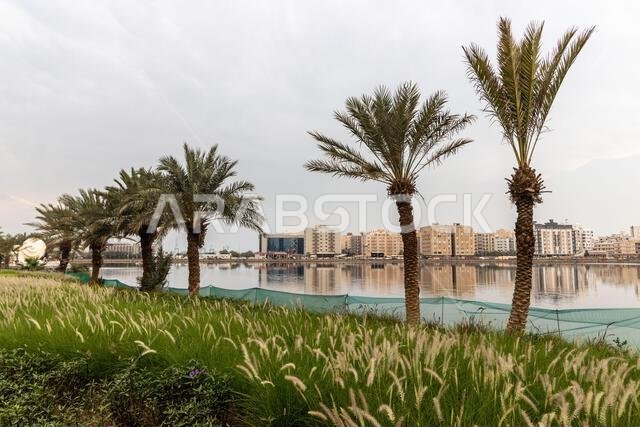 بحيرة الأربعين في جدة بالمملكة العربية السعودية