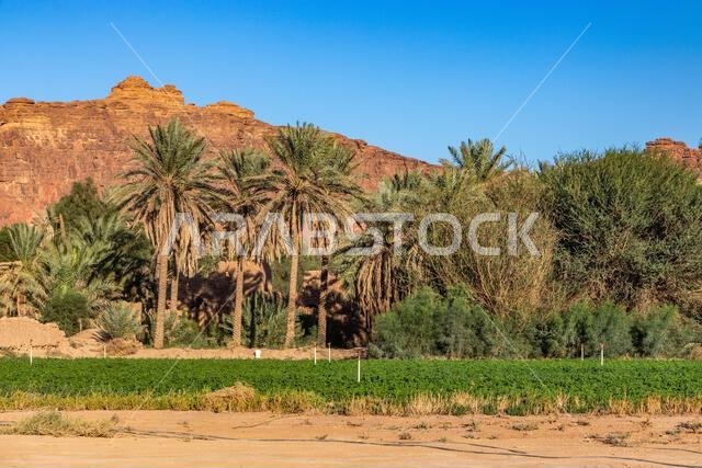 منظر طبيعي ريفي بالقرب من العلا، المملكة العربية السعودية