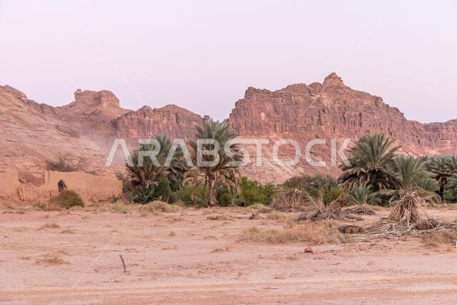 منظر طبيعي صخري بالقرب من العلا، المملكة العربية السعودية