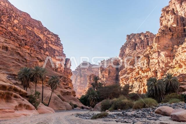 View of  Wadi Disah canyon, Saudi Arabia
