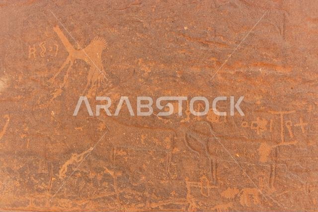 Rock art (petroglyphs) in Jubbah, Saudi Arabia