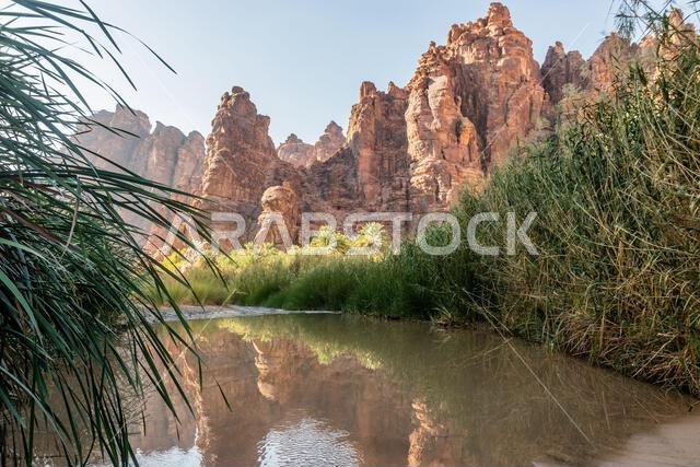 وادي الديسة، المملكة العربية السعودية