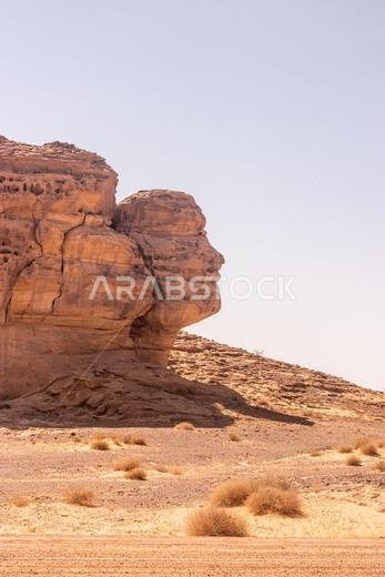Face shaped rock at Hegra (Mada'in Salih) site near Al Ula, Saudi Arabia