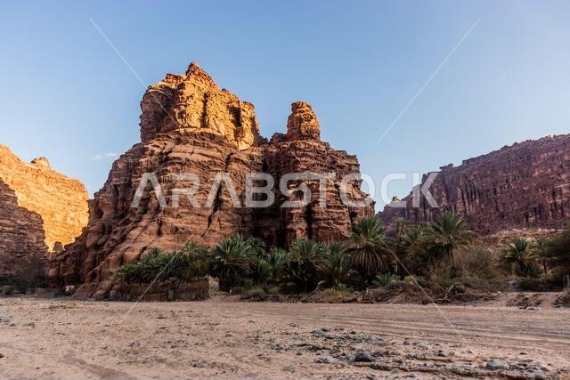 View of Wadi Disah canyon, Saudi Arabia