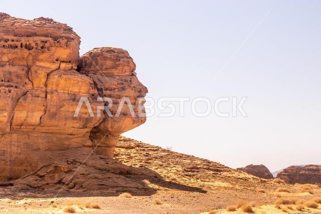 Face shaped rock at Hegra (Mada'in Salih) site near Al Ula, Saudi Arabia