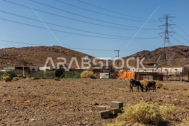 قرية صغيرة بالقرب من العلا، المملكة العربية السعودية