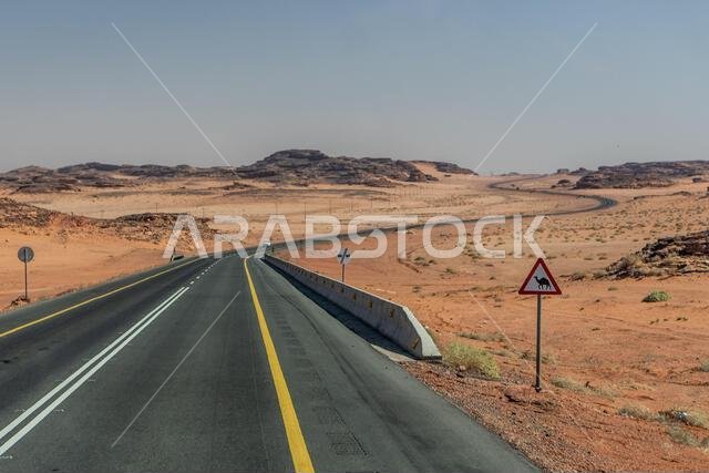 لافتة تحذيرية بشأن الجمال على الطريق رقم 70 عبر الصحراء بالقرب من العلا، المملكة العربية السعودية لافتة تحذيرية بشأن الجمال على الطريق رقم 70 عبر الصحراء بالقرب من العلا، المملكة العربية السعودية
