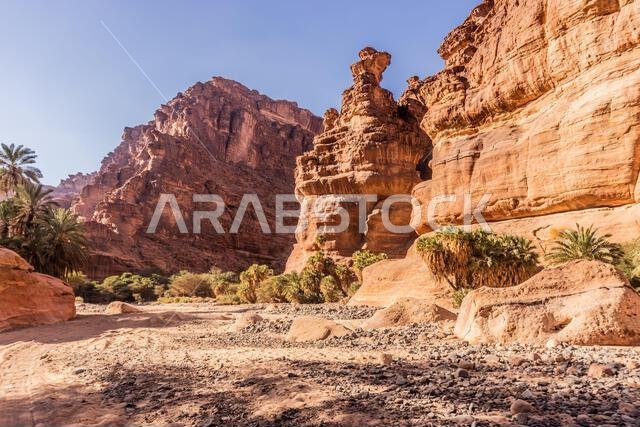 Steep cliffs of Wadi Disah canyon, Saudi Arabia Steep cliffs of Wadi Disah canyon, Saudi Arabia