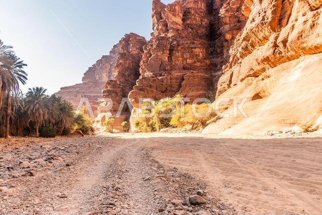 View of  Wadi Disah canyon, Saudi Arabia