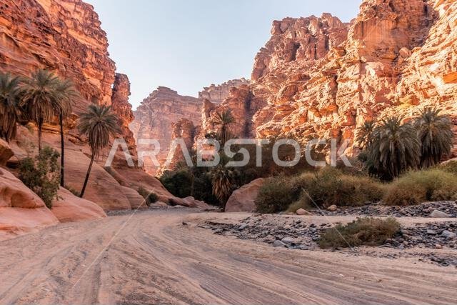 Path in  Wadi Disah canyon, Saudi Arabia