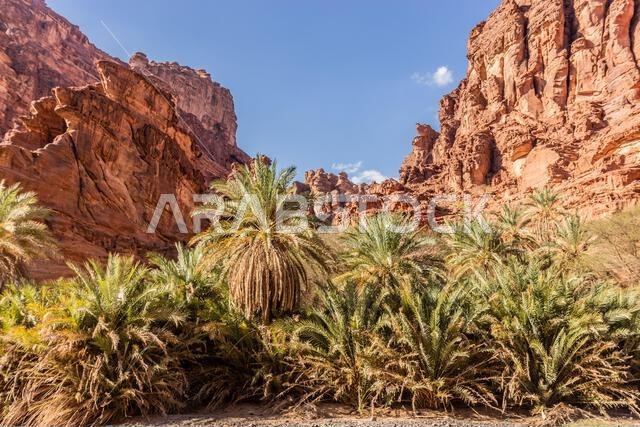 Steep cliffs in  Wadi Disah canyon, Saudi Arabia