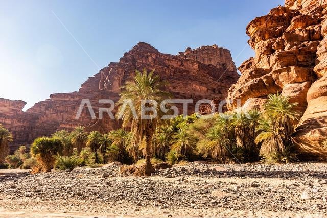 المنحدرات شديدة الانحدار في وادي الديسة، المملكة العربية السعودية