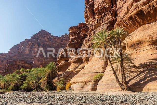 منظر لوادي الديسة بالمملكة العربية السعودية