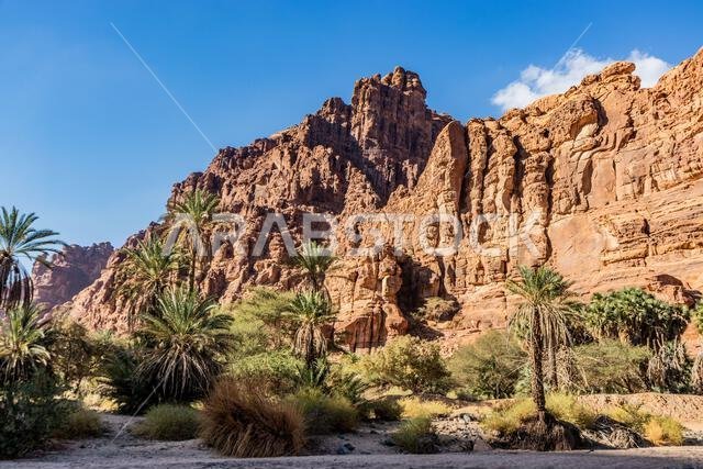 Steep cliffs in  Wadi Disah canyon, Saudi Arabia