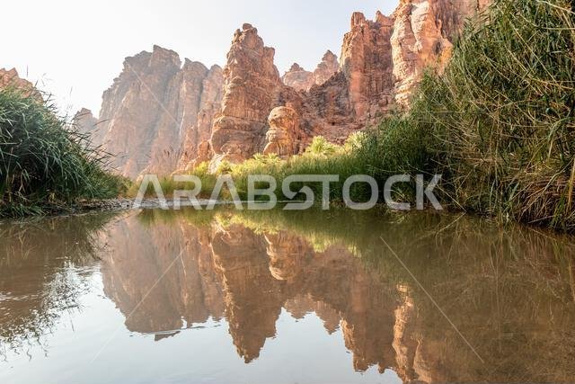 وادي الديسة، المملكة العربية السعودية