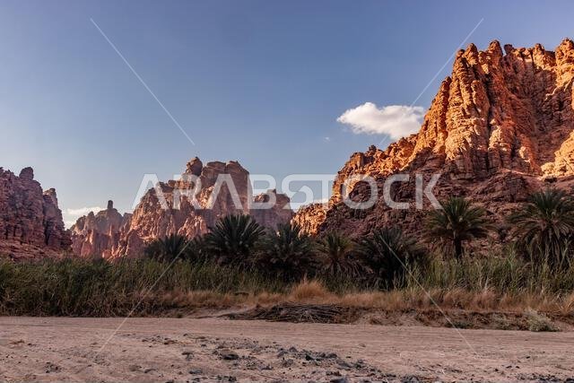 Cliffs of Wadi Disah canyon, Saudi Arabia