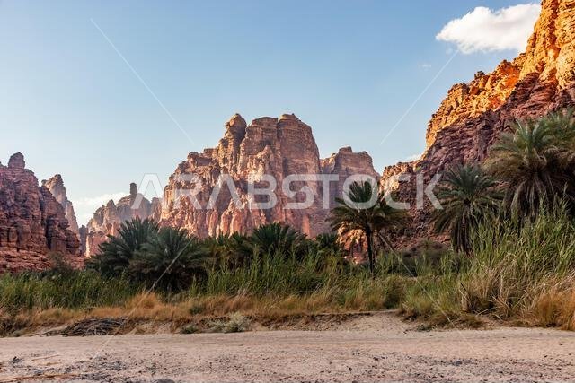 Cliffs of Wadi Disah canyon, Saudi Arabia