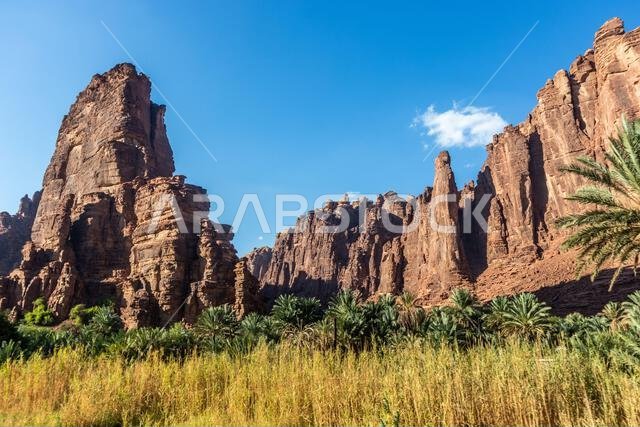 Cliffs of Wadi Disah canyon, Saudi Arabia