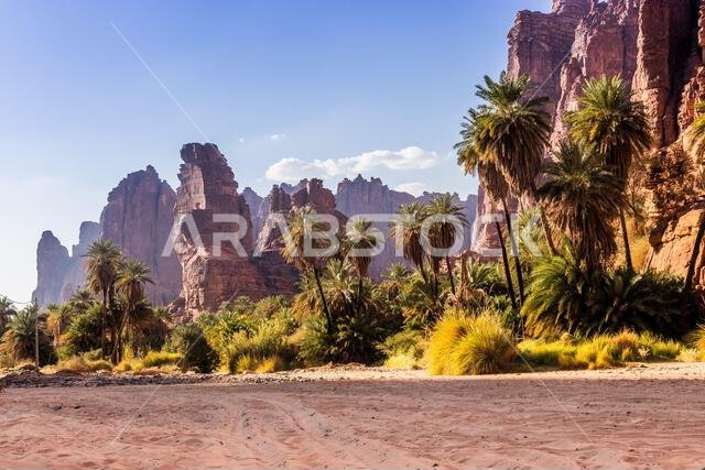 منحدرات وادي الديسة بالمملكة العربية السعودية