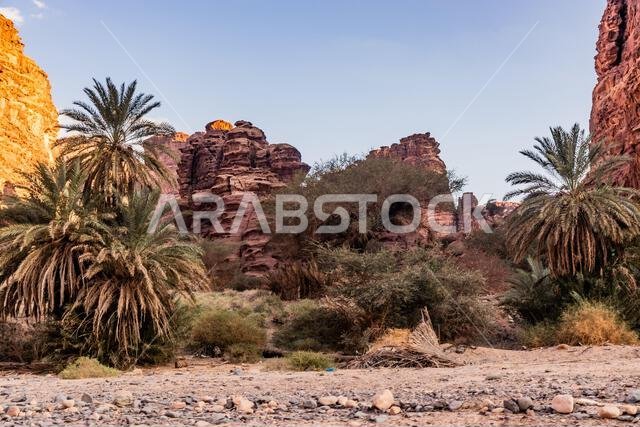 منظر لوادي الديسة بالمملكة العربية السعودية