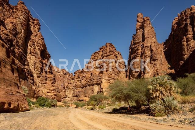 وادي الديسة (وادي قراقر)، وادي من الحجر الرملي بالقرب من تبوك، شمال غرب المملكة العربية السعودية، الشرق الأوسط