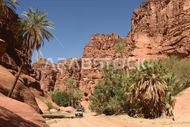 وادي الديسة (وادي قراقر)، وادي من الحجر الرملي بالقرب من تبوك، شمال غرب المملكة العربية السعودية، الشرق الأوسط