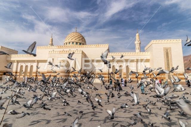 MEDINA, SAUDI ARABIA - NOVEMBER 12, 2021: Pigeons in front of the Masjid al-Shuhada mosque under Uhud mountain in Medina, Saudi Arabia