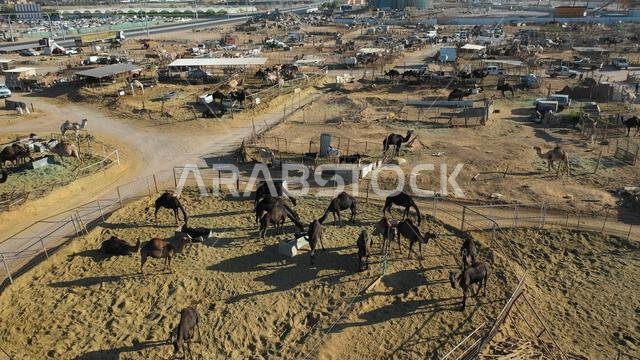 منظر جوي لسوق الجمال، منطقة نجران، نجران، المملكة العربية السعودية
