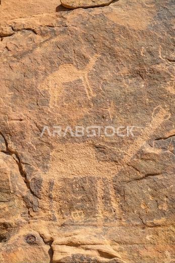 فن النقوش الصخرية في جبل أم سنمان في جبة، المملكة العربية السعودية، منطقة حائل، موقع تراث عالمي لليونسكو.