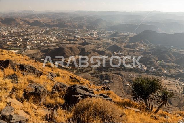 Aerial view of Dhahran al Janub, Saudi Arabia