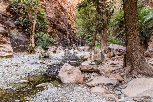View of Wadi Lajab canyon, Saudi Arabia
