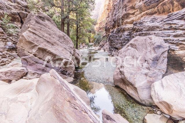 View of Wadi Lajab canyon, Saudi Arabia