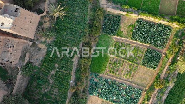 صورة جوية لقرية قديمة ذات بيوت طينية تقليدية، منطقة عسير، الظهران الجنوبي، المملكة العربية السعودية
