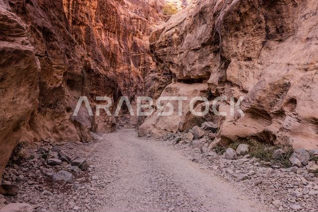 Path in Wadi Lajab gorge, Saudi Arabia