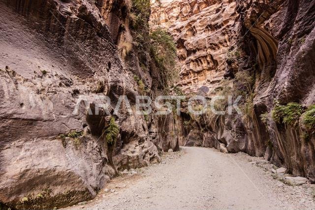 Path in Wadi Lajab canyon, Saudi Arabia