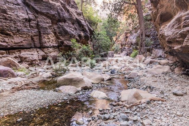 View of Wadi Lajab canyon, Saudi Arabia