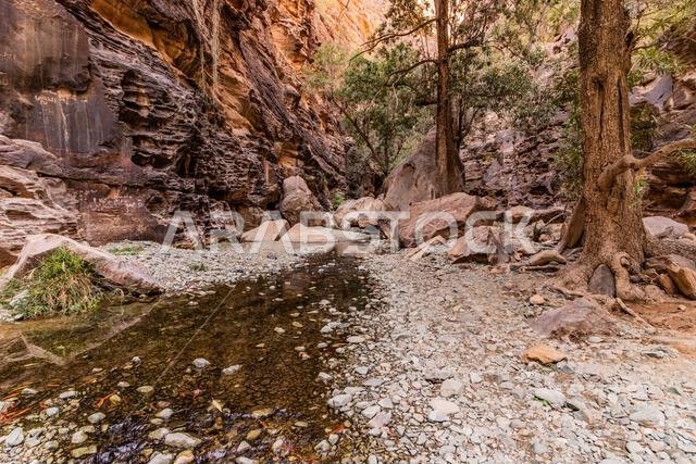 View of Wadi Lajab canyon, Saudi Arabia