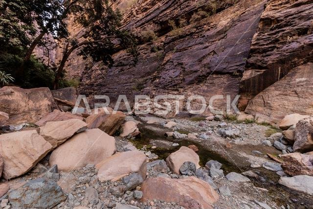 View of Wadi Lajab canyon, Saudi Arabia