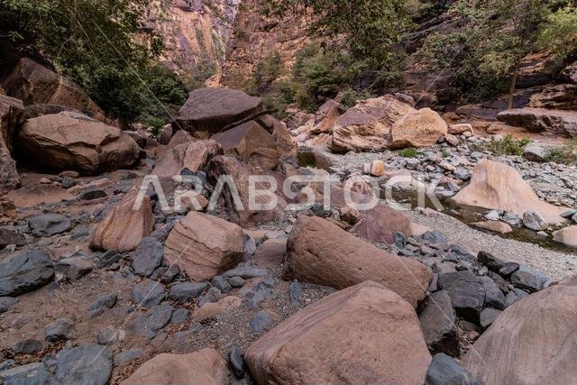 View of Wadi Lajab canyon, Saudi Arabia