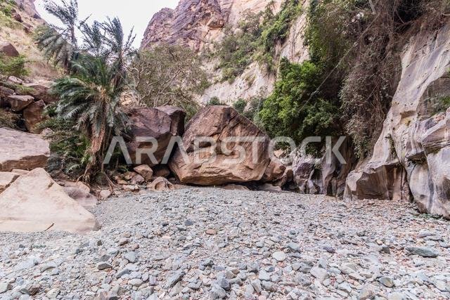 Wadi Lajab gorge, Saudi Arabia Wadi Lajab gorge, Saudi Arabia