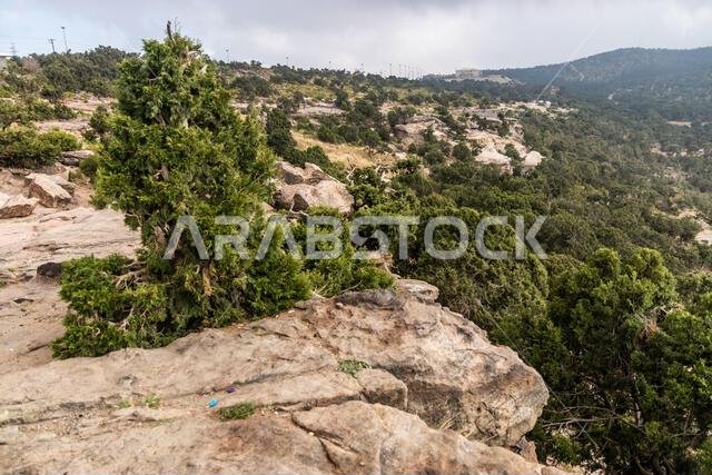 Rocky landscape near Jabal Sawda mountain, Saudi Arabia