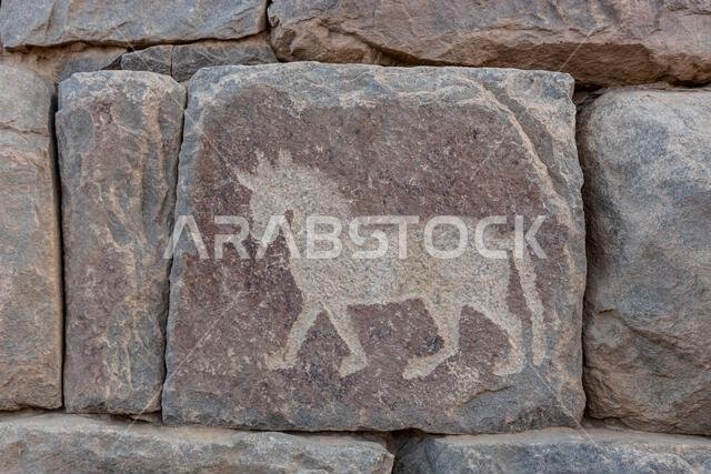Ancient wall petroglyph at Al-Ukhdud site in Najran, Saudi Arabia