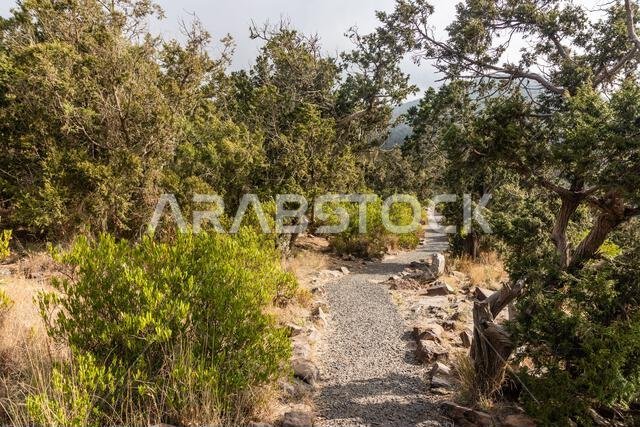 Hiking trail near Jabal Sawda mountain, Saudi Arabia
